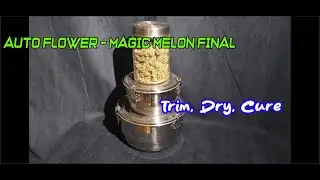 Magic melon final (failed) Part 4, Final