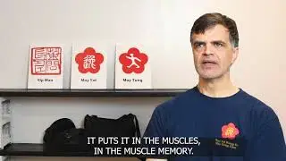 Importance of Relaxation - Ving Tsun (wing chun) Kung Fu