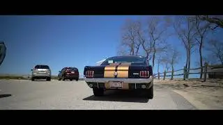 Shelby GT350H 