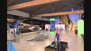 Museum of Natural Curiosity