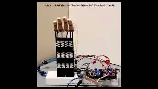3D-printed Zig-zag Soft Pneumatic Actuators as Artificial Muscles  (Application 1)