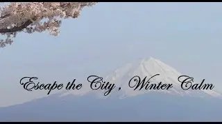 [ Relaxing & Healing Music ] &ndash; Escape the city, Healing Winter Ambience.