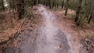 Luźne latanko spot Jasionna