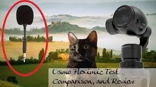 DJI Osmo Fleximic audio test and comparison review