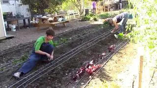 The Orange Home Grown Education Farm