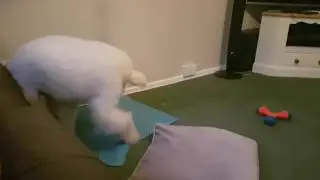 When you just can't get comfortable...