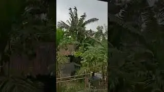 my aesthetic village rajarhat # kurigram#whowillbemylifepartnerta