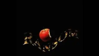Ransom - Let Tonight Be The Night We Remember [RARE]