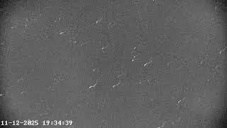 Bird? Plane? Superhero? Nope &ndash; Satellite Wins the Misidentification Game!