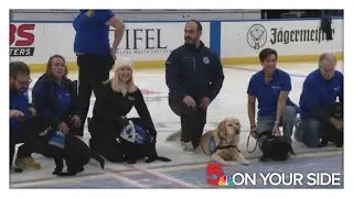 St. Louis Blues' Barclay leads Duo Dogs puppies onto the ice