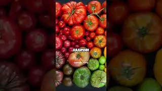 Для чего полезно есть помидоры?