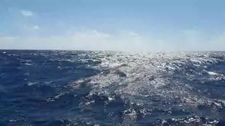 Yucatan Channel