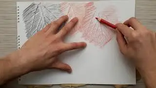 Doku Çalışması - Doku transfer çalışması