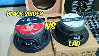 compare speaker black spider 6 inch vs speaker lad 6 inch | cek sound box miniscoop