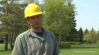 Green & Glory at Pine Ridge Golf Club