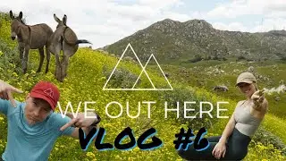 A** Everywhere! VLOG #6 - Box Springs Canyon 03/16/24