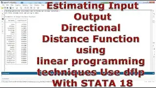 Estimating Input/Output Directional Distance Function linear programming techniques dflp STATA 18
