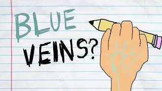 If Blood is Always Red, Then Why are Veins Blue?