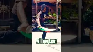 Martial Art Weapon Mastery
