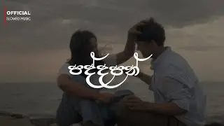 Paddapan | ( පද්දපන් ) | slowed and reverb song | DL MUSIC
