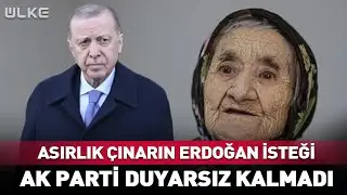 Asırlık Çınarın Erdoğan İsteğine AK Parti Duyarsız Kalmadı #haber