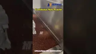 Continuous Nuts Roaster / Belt Type Peanut Roasting Machine/Peanut Oven