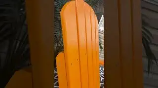 Citrus Orange - Nature's Zest