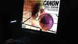 Canon(Orgel Version) Hard x3.5 Speed Full Combo #O2JAM