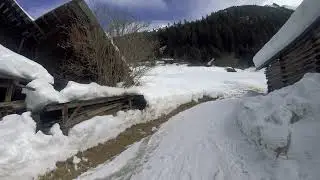 🎬 Deer in Deep Snow near Scheibe, Pitztal, Austria | GoPro Hero6 4K POV