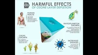 Risk factors of Ozone layer Depletion; Human Health, Environmental and Ecological Risks