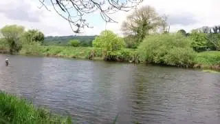 Munster Blackwater, Bishops Beat, Fortwilliam Salmon Fishery