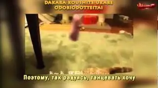 Кошачий марш (Neko Neko Ondo) - Yui Sakakibara & Imai Asami & Fukui Yuka [RUS SUB]