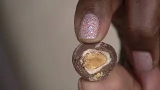 Squirrel (3) 15-oz Silver & Gold Chocolate Toffee Almonds on QVC