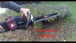 The power of Parkside Cordless 40V  580 mm battery Hedge trimmer #parkside #howitswork #hedgetrimmer