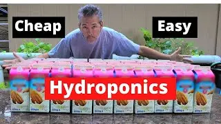Grow Food Cheap / Food Grade / Plant Based Diet / DIY Hydroponics