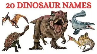 Dinosaurs Name | Learn Dinosaur Names | T-Rex, Triceratops & Spinosaurus | #dinosaur