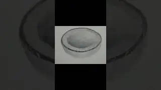 Coconut Drawing with pencil. #drawing #shorts #viral #trending #art #trend