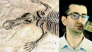 Extinction Is Not a Tragedy: The Shocking Science of Survival