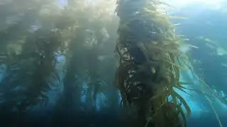 1/18/26 Heisler park with Andy and DJ