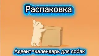 🐾 Распаковка адвент-календаря для собак | GRIZGO