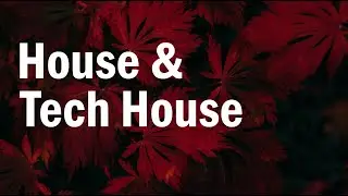 House & Tech House Mix 2021 Vol. 2 (Diplo, Acraze, Matroda, Hannah Wants, MUUS..)