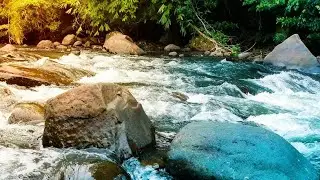 Gentle Flowing River Sounds 🌊 Nature White Noise for Deep Sleep