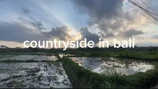 countryside in bali