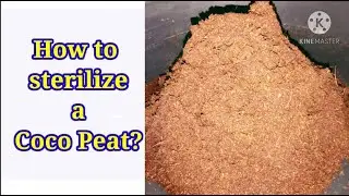 COCO PEAT : Sterilization