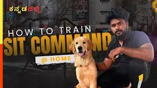 Dog Sit Command Training at Home | in kannada | #yuvaprapancha