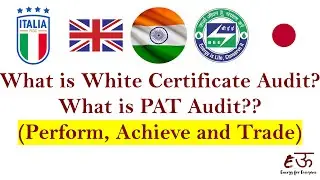 White Certificate Or PAT Perform, Achieve and Trade