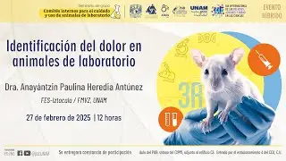 Seminario CICUALES, 
