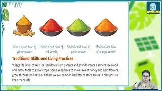 Ch 4 | Fusion Mind | EVS | Class 04 | Growing up with Nature |  For children