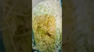 Fresh cabbage the best breed ever, MercyNguku The Kenyan Traveller.