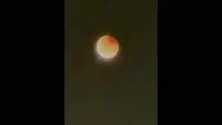 Red Moon Over the City 🌕✨